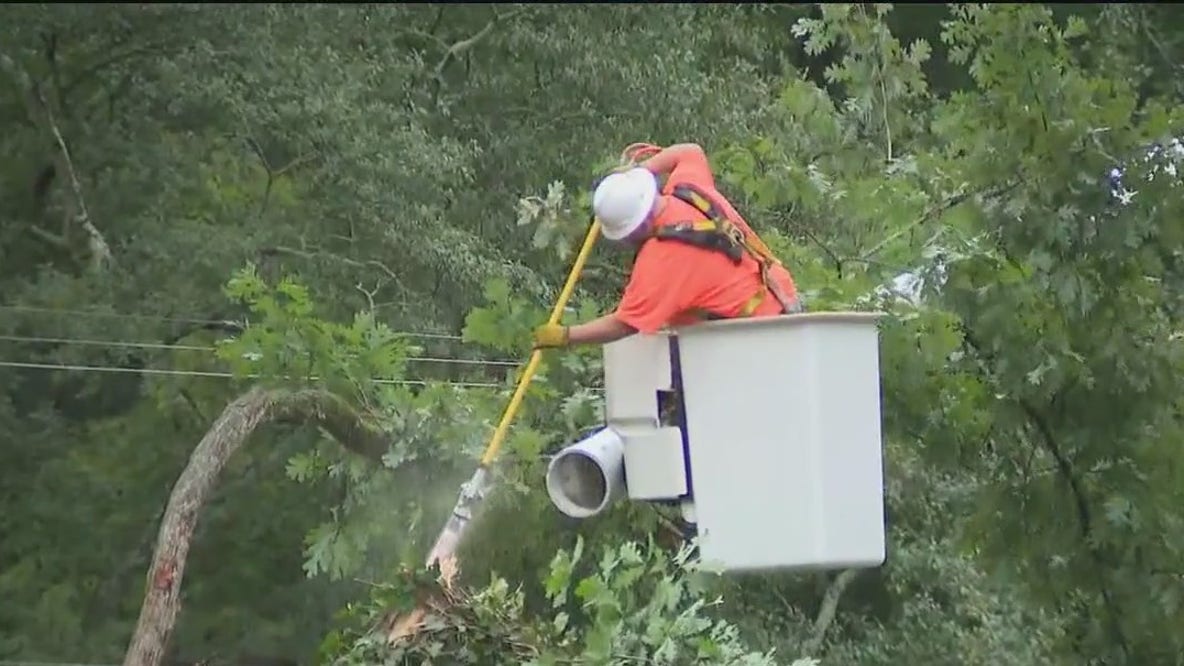 Large tree falls on Hemphill School Road in NW Atlanta overnight