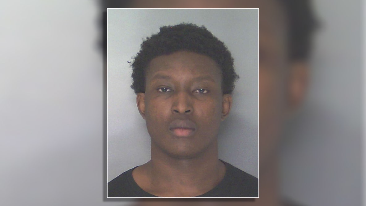 Douglas County man accused of hiding gun in his buttocks during arrest