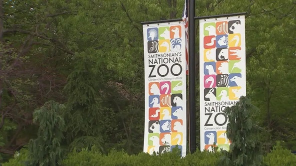 National Zoo closed Thursday due to poor air quality in DC region from Canadian wildfires