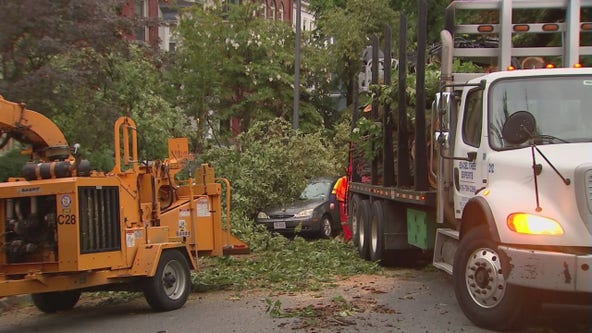 Cleanup continues across DC region following heavy storms