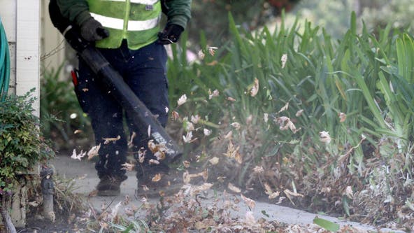 Gas-powered leaf blowers could soon be banned in Montgomery County