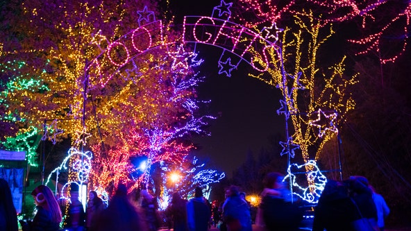 ZooLights returns to National Zoo for holiday season