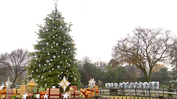 100th National Christmas Tree Lighting: Here's what you need to know