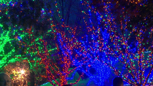 ZooLights at Smithsonian's National Zoo ranked among best Christmas light displays in US