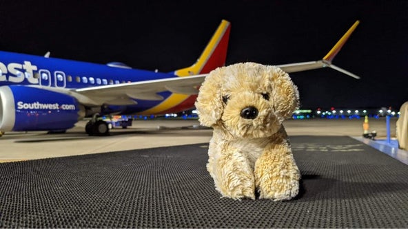 Photos: Stuffed toy left in rental car returned to little girl after epic ‘adventure’
