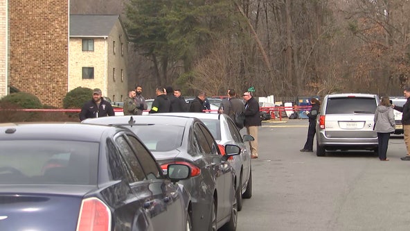 Woman shot in Mt. Vernon; suspect taken into custody