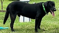 DC police dog dies after medical emergency while on presidential detail