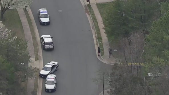 Two people dead in murder-suicide on trail in Reston: police