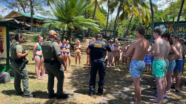 Authorities say 33 swimmers were harassing dolphins off Hawaii’s Big Island