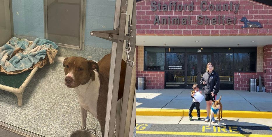 'It finally happened!' Dog who went months without inquiry gets adopted in Stafford County