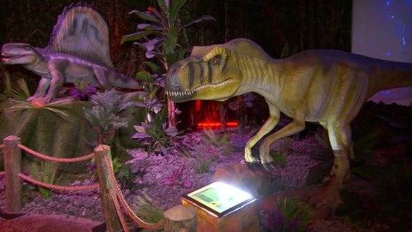 Dinos Alive brings life-sized animated dinosaurs to DC area