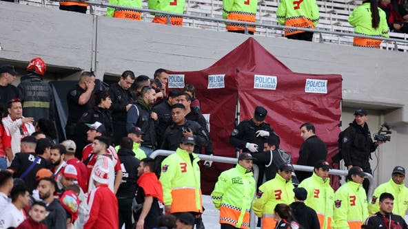 Spectator dies from fall during Argentinian soccer match