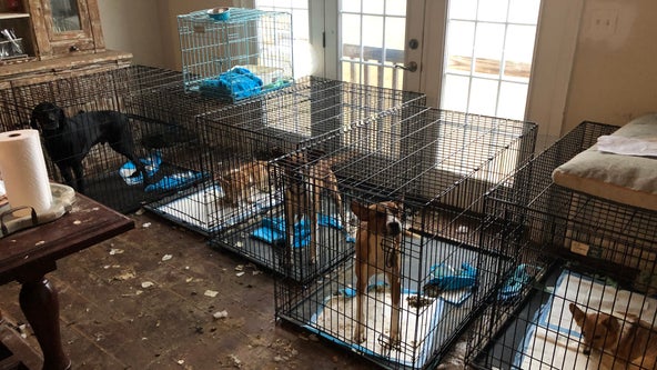 Loudoun County animal rescue staff charged with animal cruelty