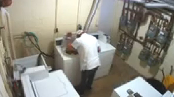 Laundry machine thief captured on video: police