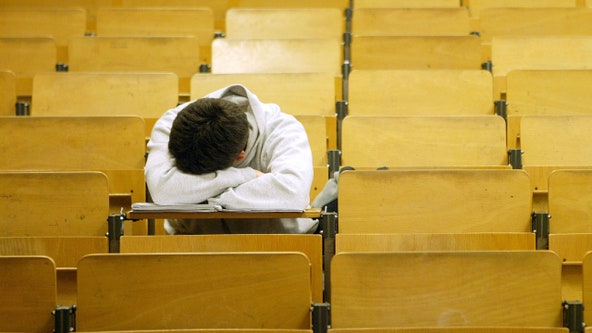 Catnap your way to creativity: Study reveals naps may boost creative ideas