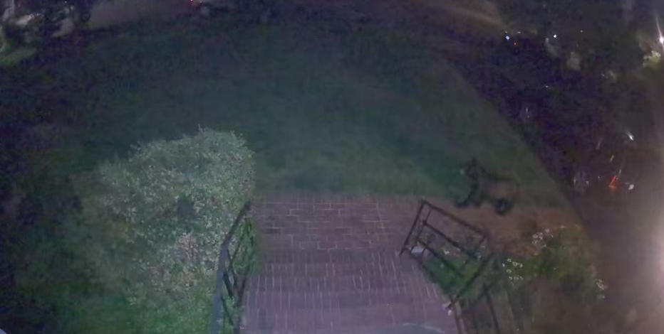 Bear caught on camera roaming front yard of an Arlington home