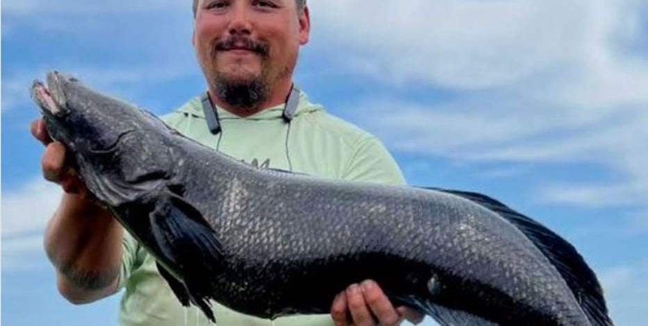 Maryland man breaks state record for largest snakehead fish caught