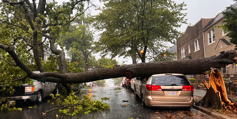 Residents evacuated after tree falls on apartment building and vehicles in Northeast neighborhood