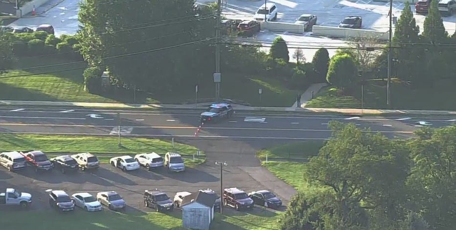 Woman killed in deadly pedestrian crash in McLean