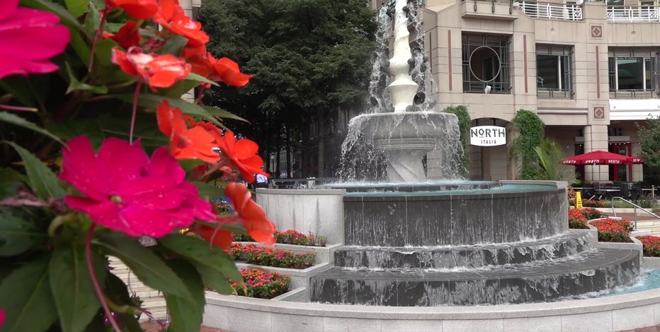 5 Things to Do In Reston