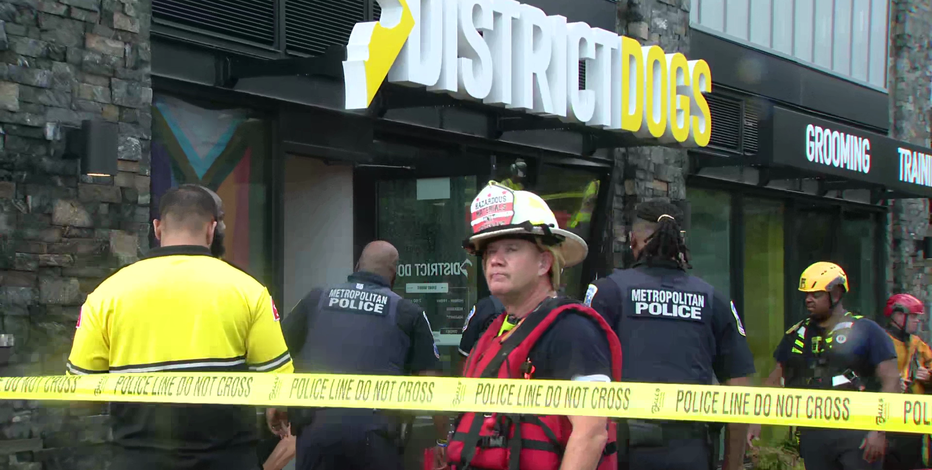 Several dogs dead after flash floods devastate doggy day care in DC