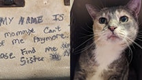 Sibling cats left at shelter with heartbreaking note: 'My mom can’t take care of me anymore'