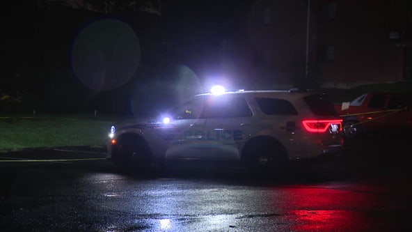Mother shot, killed in DC; police unsure if she was intended target