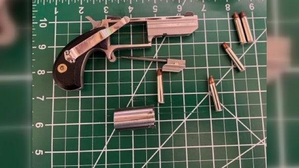 Man blames wife after TSA finds loaded gun packed in carry-on bag at Reagan National Airport