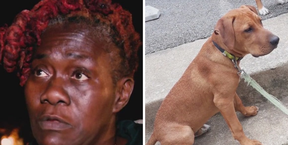 DC mother devastated after therapy dog is killed in hit-and-run months after son's murder