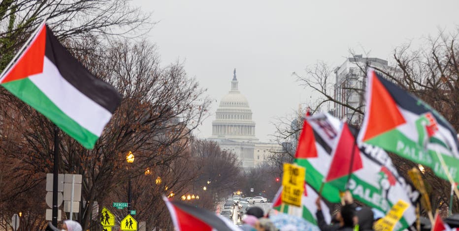 March on Washington for Gaza takes over Freedom Plaza