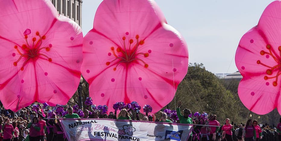 Chery Blossom Parade, Emancipation Day Celebration road closures and parking restrictions