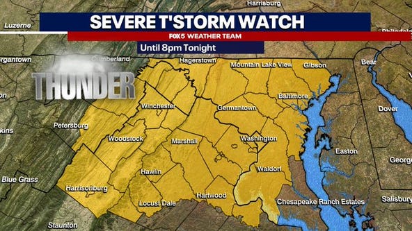 DC weather: Severe thunderstorm watch issued for DC area