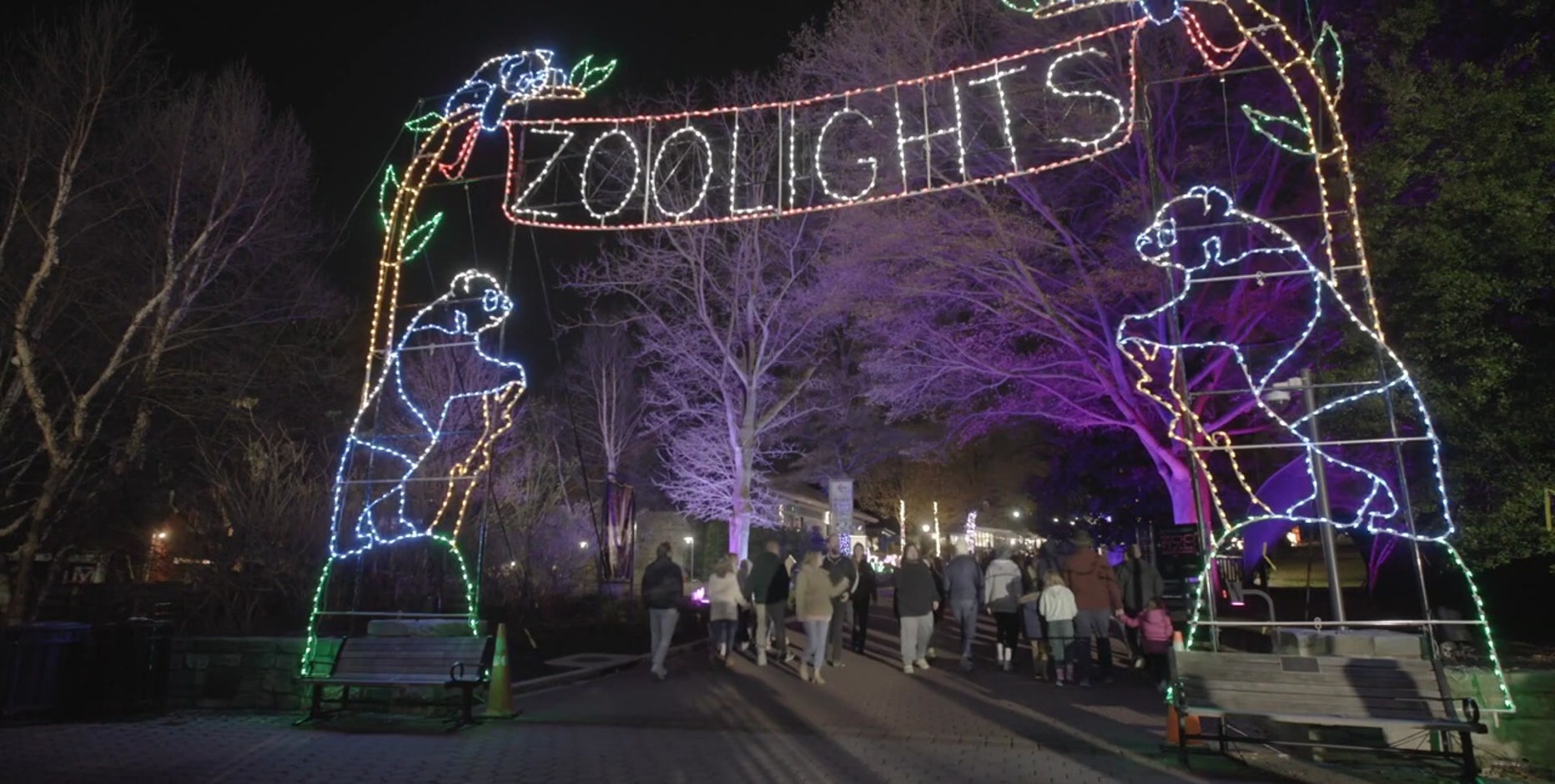 Holiday lights across DC, Maryland & Virginia