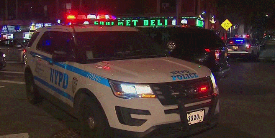 One in five NYPD officers call out sick