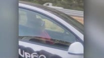 Tesla driver appears to be asleep at the wheel on California freeway: VIDEO