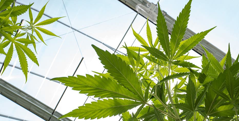 New bipartisan bill would allow federal workers to consume marijuana