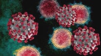 EG.5 variant drives new wave of COVID-19 infections: CDC's insight