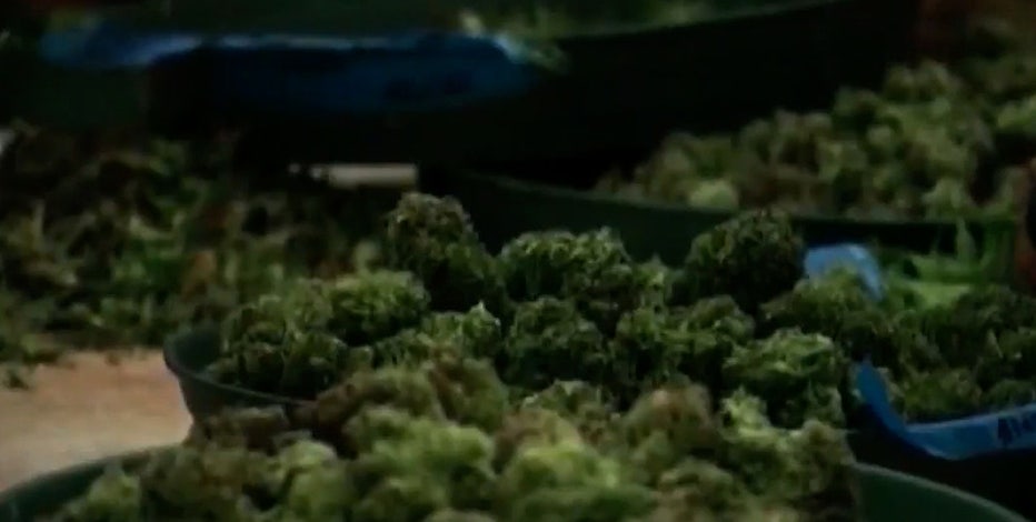 Landlords could face big fines as new bill aims to crack down on illegal smoke shops