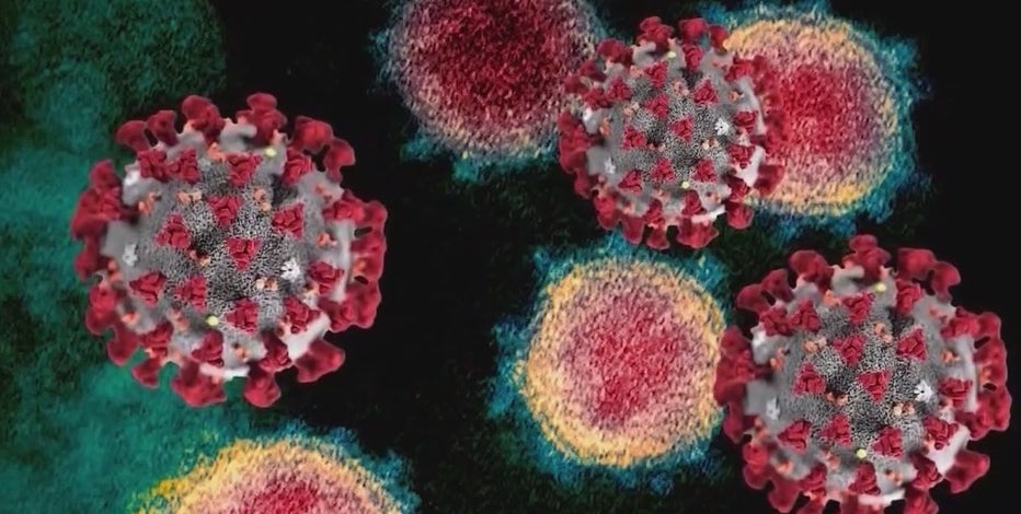 EG 5 variant drives new wave of COVID-19 infections: CDC's insight
