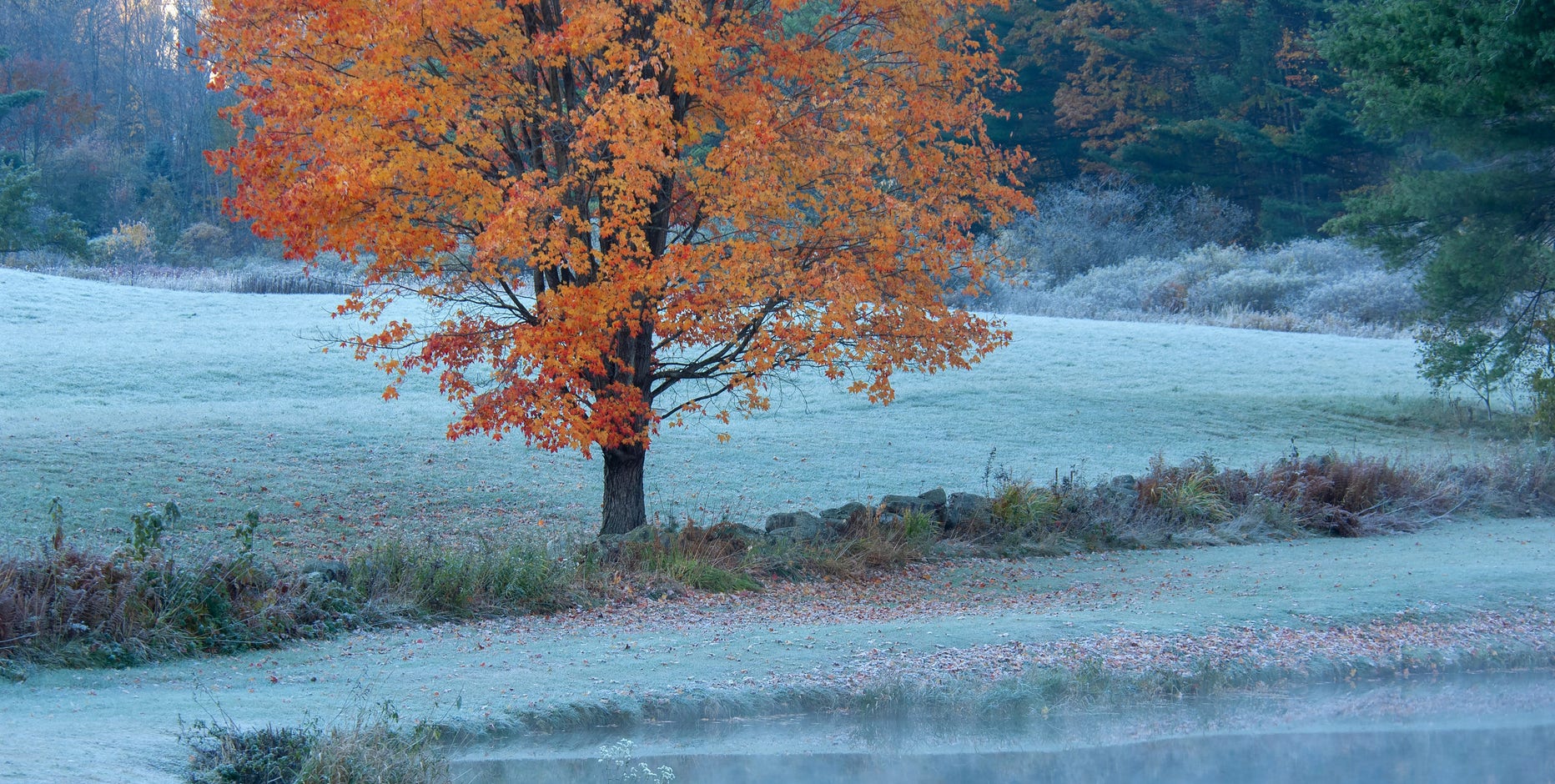 Here’s when to expect the first freeze of the season