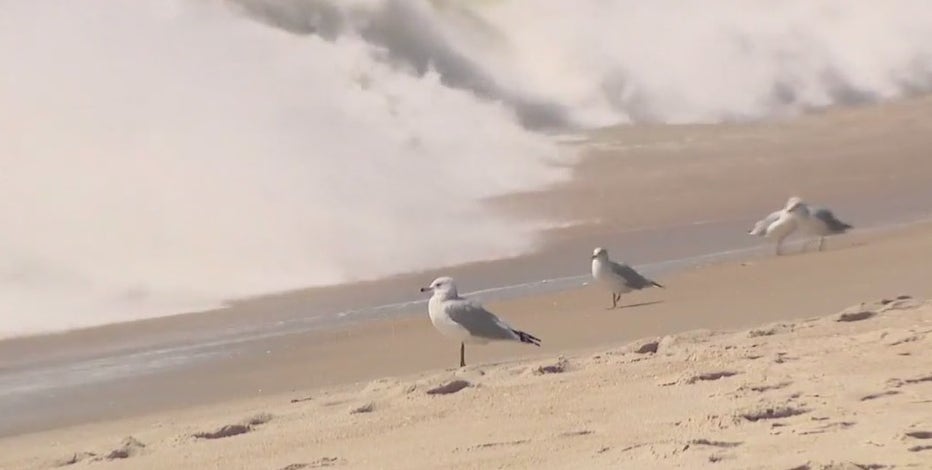 Hurricane Lee threatens beaches with erosion and rip currents this weekend