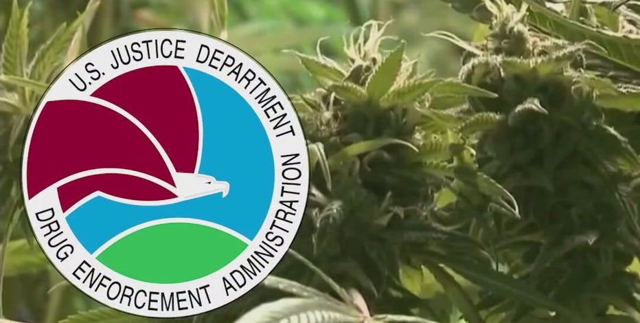 Biden Administration considering loosening marijuana restrictions