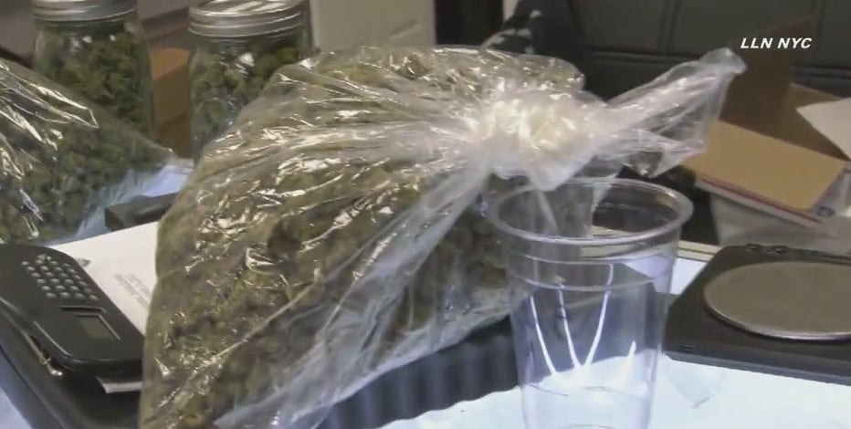 Sen. Schumer introducing banking act for cannabis businesses