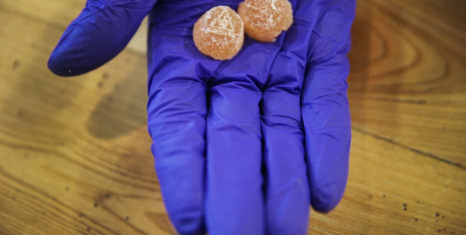 Michigan dog attacks, nearly kills owner after being fed THC gummy