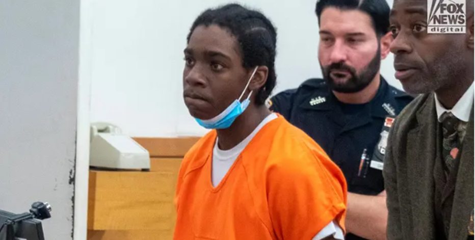 Teen indicted for stabbing activist to death in random NYC attack