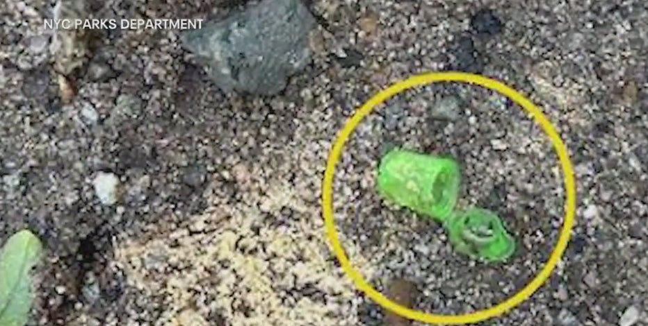 Fentanyl warning goes out to Fort Greene Park visitors