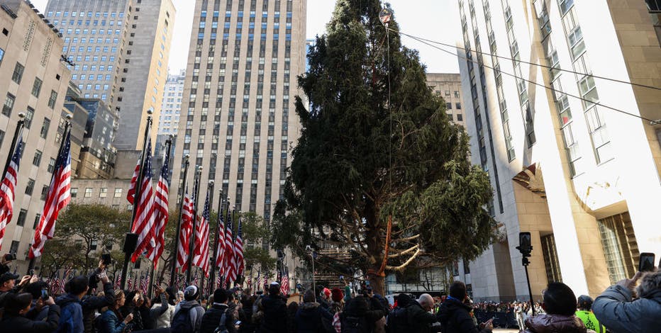 Rockefeller Christmas tree makes its grand arrival to NYC
