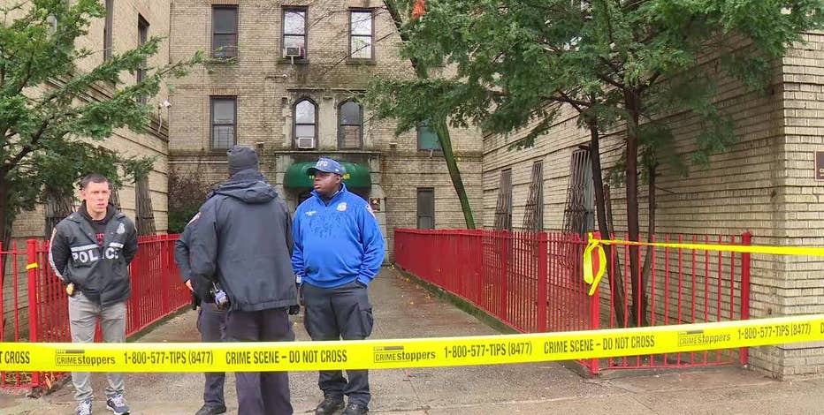 5-year-old twins found dead in the Bronx