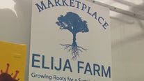 ELIJA Farm grows opportunities for adults with autism on Long Island