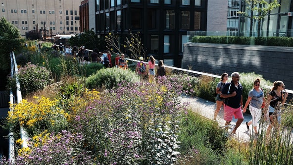 15 years of the High Line: From 'Death Avenue' to NYC park